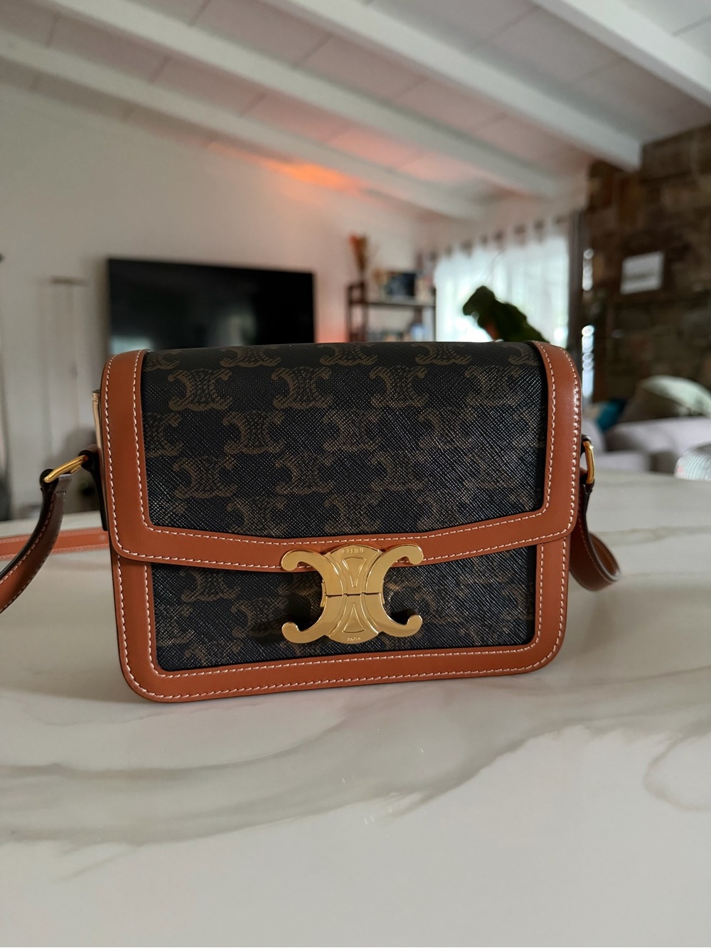 Celine Triomphe Teen Bag in Canvas and Calfskin